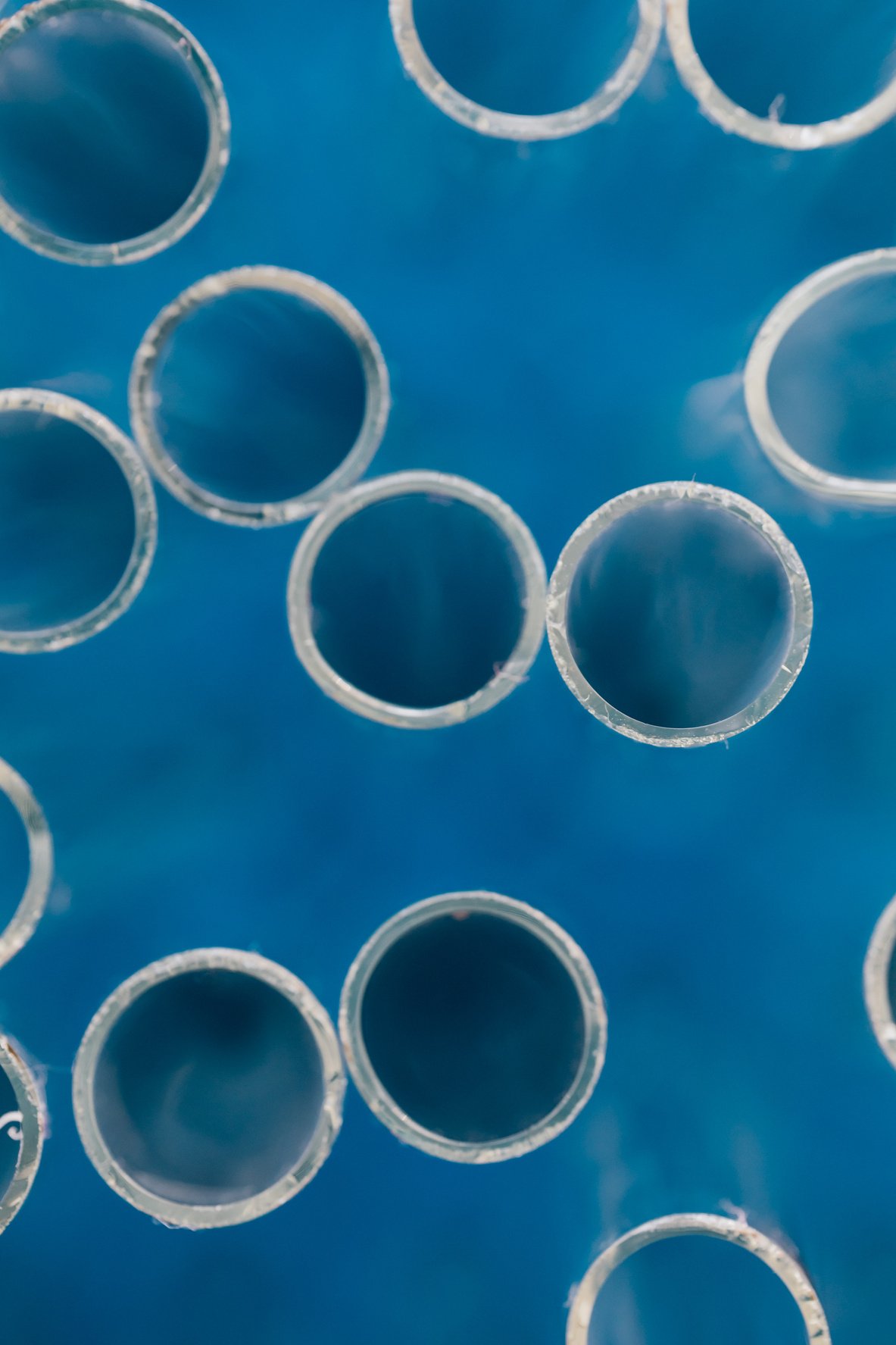 Glass tube in lab on blue background